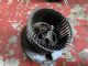 Volkswagen Caddy Type 2K 2003-2009 Blower Motor