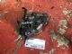 BMW 3 Series E46 323 LR Door Actuator