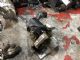 Peugeot 3008 I 2008-2015 Power Steer Pump