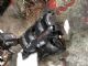Citroen DS3 DS3 2009-2016 Engine Inlet Manifold