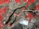 Citroen DS3 DS3 2009-2016 Exhaust Oxy Sensor