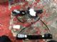 Ford Focus LW 2011-on RF Door Regulator Motor