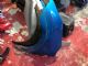 Citroen DS3 DS3 2009-2016 LF Guard/Fender