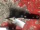 Citroen C4 C4 Picasso 2013-2018 L Bonnet Hinge 