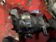 BMW 3 Series  316I F30 Rear Diff Assembly