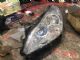 Peugeot 3008 I 2008-2015 L Headlight (Halogen)