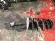 Citroen C4 Grand Picasso 2013-2018 LF Shock Absorber