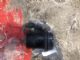 Citroen C4 Grand Picasso 2013-2018 Air Fuel Ratio Sensor