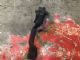 Citroen C4 Grand Picasso 2013-2018 Accelerator Pedal