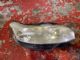Citroen C5 C5 R Headlight (Halogen)