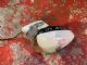 Citroen C5 C5 RF Door Elec Mirror