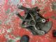Citroen C5 C5 LR Knuckle