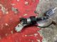 Citroen C5 C5 Ignition Lock Assembly