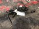 Citroen C5 C5 Rear Bumper Proximity Sensor