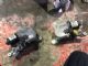 Citroen C5 C5 Front Wiper Motor
