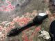 Citroen C5 C5 LF Driveshaft