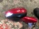 Citroen C4 C4 Picasso 2013-2018 RF Door Elec Mirror