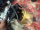 Citroen C4 C4 Picasso 2013-2018 Electric Fuel Pump