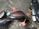 Citroen C4 Grand Picasso 2013-2018 RF Door Elec Mirror