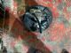 Citroen C4 Grand Picasso 2013-2018 Brake Master Cylinder