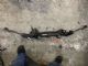 Mercedes-Benz E Class W210 1995-2003 Front Power Steer Rack
