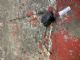 Citroen C4 Grand Picasso 2013-2018 RR Door Actuator