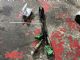 Citroen C4 Grand Picasso 2013-2018 Exhaust Oxy Sensor