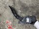 Ford Fiesta WT 2010 - Accelerator Pedal