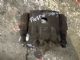 Ford Fiesta WT 2010 - LF Disc Brake Caliper