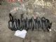 Ford Fiesta WT 2010 - RR Coil Spring