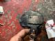 Peugeot 2008 2008 2013-2017 Throttle Body