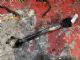 Audi A3 8V 2013-2016 RF Driveshaft