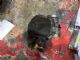 Citroen C4 C4 Picasso 2013-2018 Throttle Body