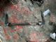 Ford Focus LW2 2012-on Rear Sway Bar