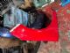 Ford Focus LW2 2012-on RF Guard/Fender