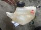 Renault Kadjar 2015-2017 Radiator Spare Tank