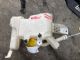 Renault Kadjar 2015-2017 Front Washer Bottle