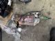 Renault Kadjar 2015-2017 Catalytic Converter