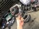 Renault Kadjar 2015-2017 LF Shock Absorber