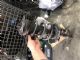 Renault Kadjar 2015-2017 RF Shock Absorber