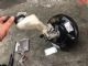 Renault Kadjar 2015-2017 Brake Master Cylinder