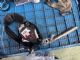 Citroen C4 C4 Picasso 2013-2018 LF Seat Belt