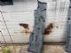 Mercedes-Benz GL Class X166 2012-on Engine Rocker Cover RH