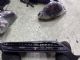 Citroen C4 C4 Picasso 2013-2018 Dash Vent Surround Centre