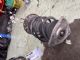 Citroen C4 C4 Picasso 2013-2018 LF Shock Absorber