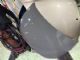 Citroen C4 Catcus 2014-2017 Bonnet
