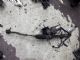 Citroen C4 Catcus 2014-2017 Front Electric Steering Rack
