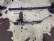 Peugeot 3008 II 2016-2018 Front Power Steer Rack