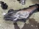 Peugeot 3008 II 2016-2018 L Headlight (Halogen)