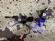 Citroen Dispatch G9 2013-2016 Ignition Lock Assembly